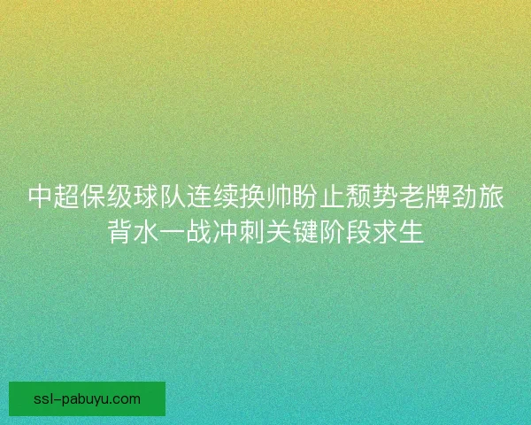 中超保级球队连续换帅盼止颓势老牌劲旅背水一战冲刺关键阶段求生