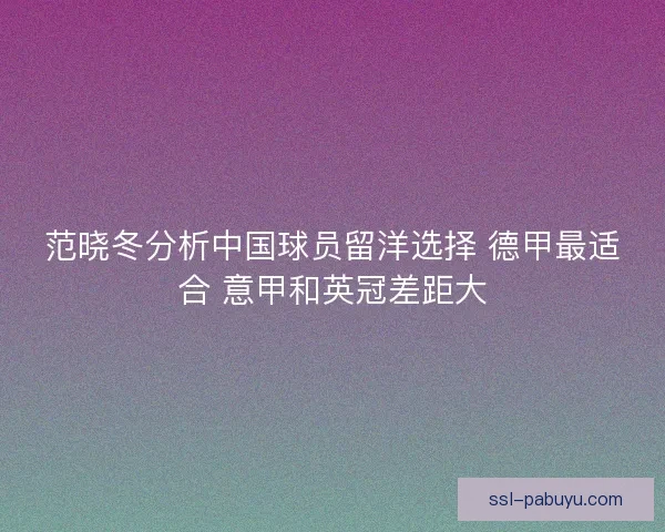 范晓冬分析中国球员留洋选择 德甲最适合 意甲和英冠差距大